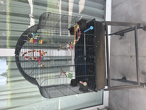 Vögel Käfig  Bild 2