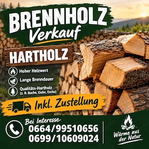 Brennholz 