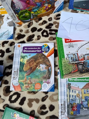Bücher und Spiele  Bild 2