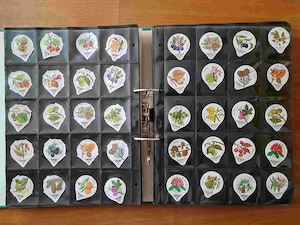 Rahmdeckel - Sammlung Bild 2