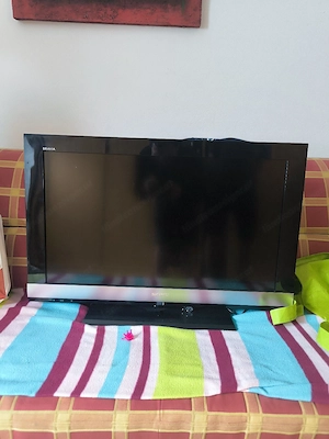 Sony Bravia Bild 2