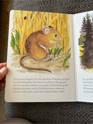 2 Pappbücher Tiere Bild 4