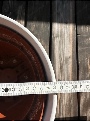 2 Tonübertöpfe Bild 4