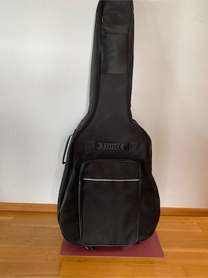 SIGMA Akustikgitarre DM-1ST+ Bild 4
