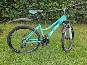 Fahrrad für Jugendliche Erwachsene Bild 2