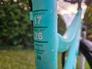Fahrrad für Jugendliche Erwachsene Bild 4