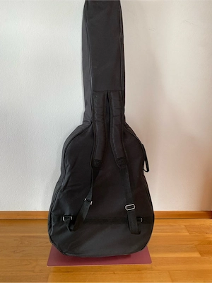 SIGMA Akustikgitarre DM-1ST+ Bild 6