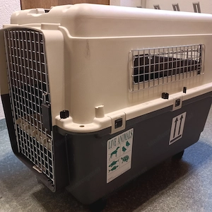 Flugzeugbox für Hund mit Rollen Bild 2
