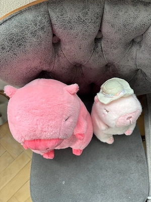 Plüschtier Capybara Spielzeug Bild 2