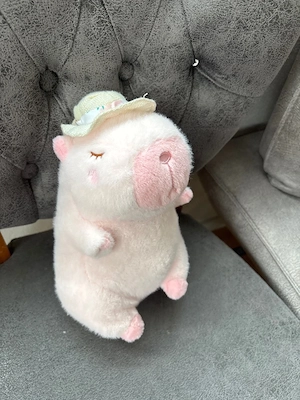 Plüschtier Capybara Spielzeug Bild 3