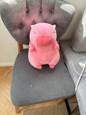 Plüschtier Capybara Spielzeug Bild 4