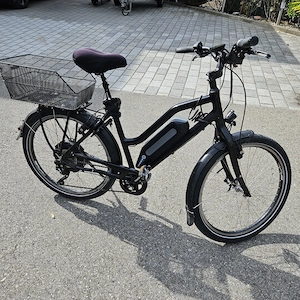 Herren E-Bike nur 260 km gefahren