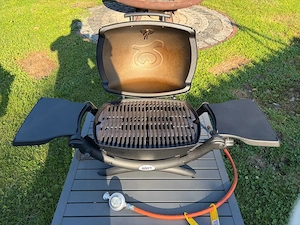 Weber Gasgrill Q1200