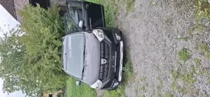 Dacia Lodgy Stepway Bj 2017 neues Service und Pickerl 5 Sitzer Bild 5