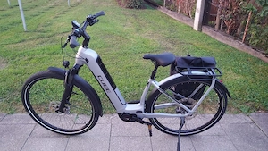 E-Bike Bosch 750 Wh Bild 2