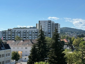 Renovierte Wohnung im Herzen von Klagenfurt Bild 5