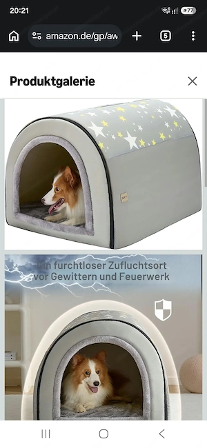 Diverse Hundesachen abzugeben Bild 4