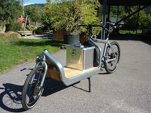 Lastenfahrrad Larry vs Harry E-Bullitt B-106