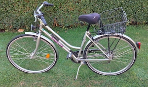 Simplon - Damenfahrrad