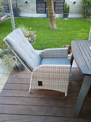 Gartenmöbe Set Bild 3