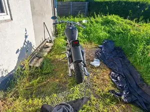 vs 1400 intruder  Bild 4