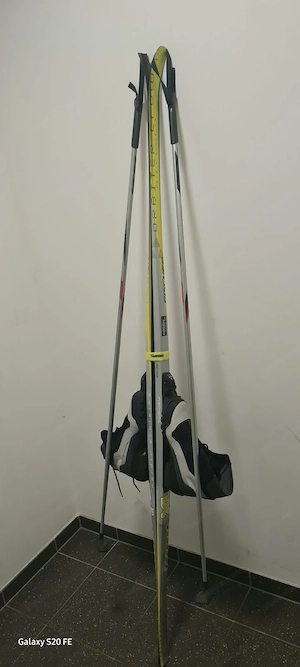  Ski FISCHER Orbiter als Set Bild 3