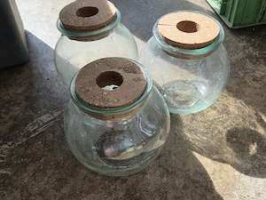 3x Blumengläser