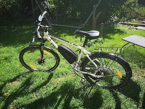 BionX Bike Bild 5