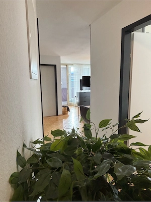 3 Zimmerwohnung zu verkaufen Bild 3