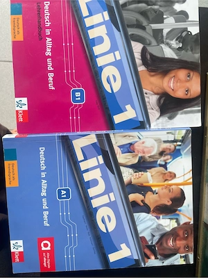 DaF DaZ Bücher  Deutschkurs Bücher zu verschenken Bild 4