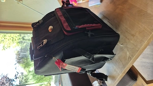 Koffer Trolley Rucksack für Steirische Kinder Bild 3