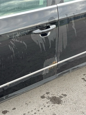 Passat Kombi Diesel (Rost-Paket) Bild 7