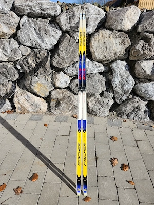 Langlaufski mit Stöcken 