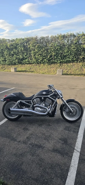 Harley-Davidson V-ROD Bild 6