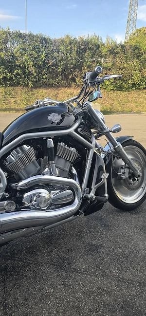 Harley-Davidson V-ROD Bild 8