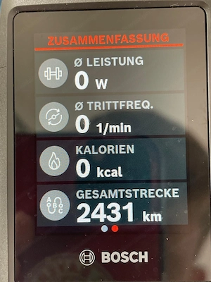 Corratec E-Bike RS 160 Pro Gr. M 750 Watt Bild 4
