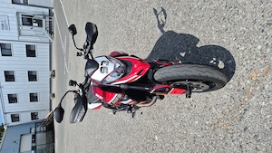 Ducati Hypermotard 950 Bild 4