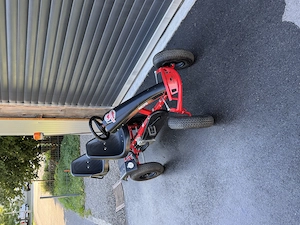 Dino-Cars GoKart Bild 2