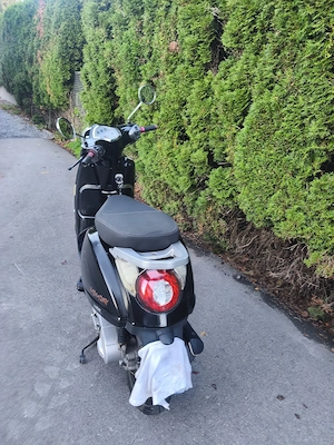 Motorroller Beeline Memory Estate 50 2T Bild 5