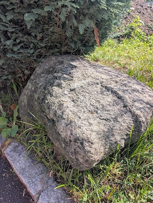 Findlinge   Steine   Gartensteine Bild 5