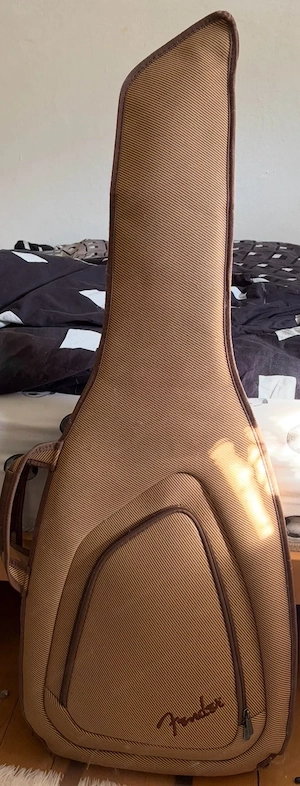 Ibanez Gio E-Gitarre, Hülle, Verstärker Bild 4