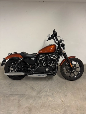 Harley Davidson Iron 883 Bild 4