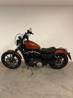 Harley Davidson Iron 883 Bild 3