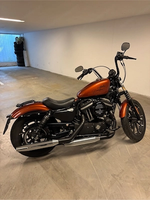 Harley Davidson Iron 883 Bild 2
