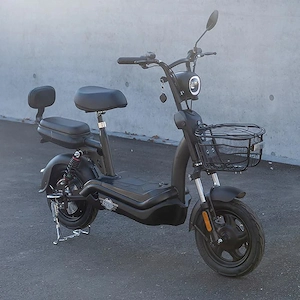 EFO 250 Elektrofahrrad Moped - für CH als Velo zugelassen.