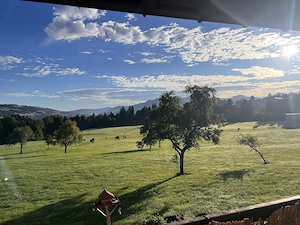 Sonnenwohnung Alberschwende Bild 2