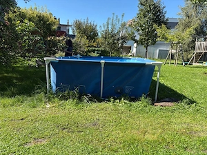 Pool inkl. Pumpe zu verschenken Bild 2