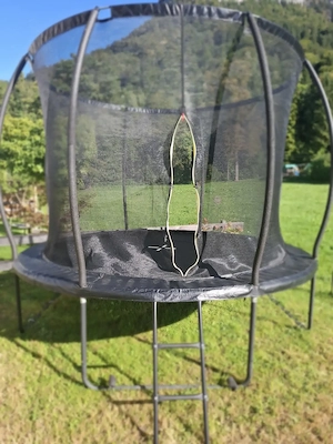 Trampolin  305cm in top Zustand 