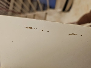 Schuhkasten zu verkaufen Bild 2