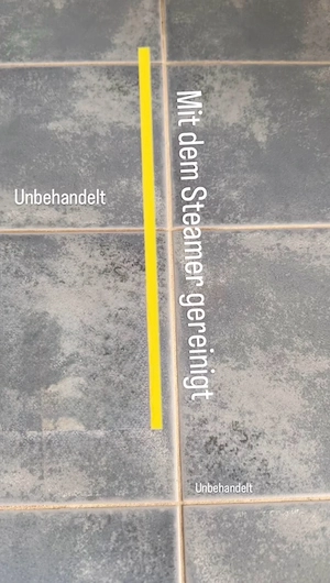 HYLA oder STEAMER Vorführung   kostenl. & unverbindlich Bild 10